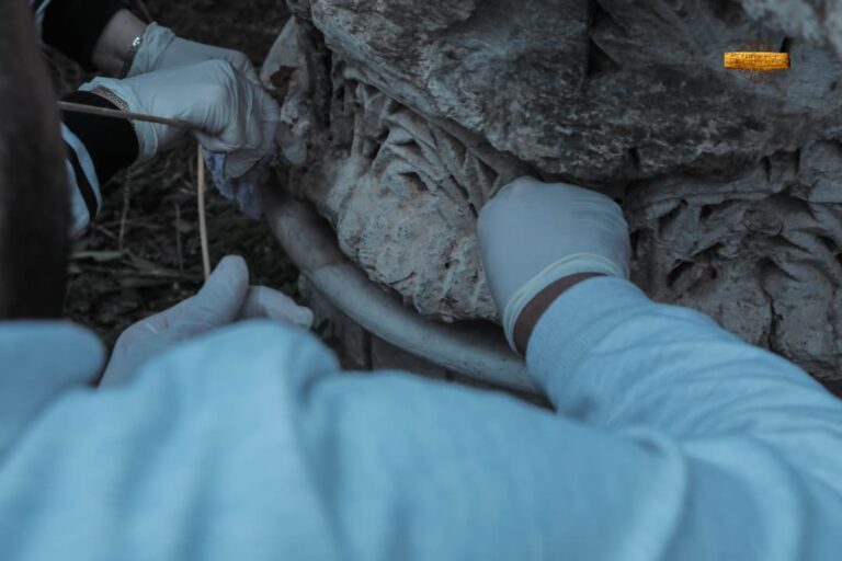 شراكة مؤسساتية ومجتمعية لإحياء المعروضات الحجرية في المتحف الوطني بدمشق