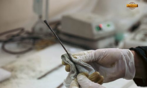 WhatsApp Image 2025-12-14 at 2.24.03 PM